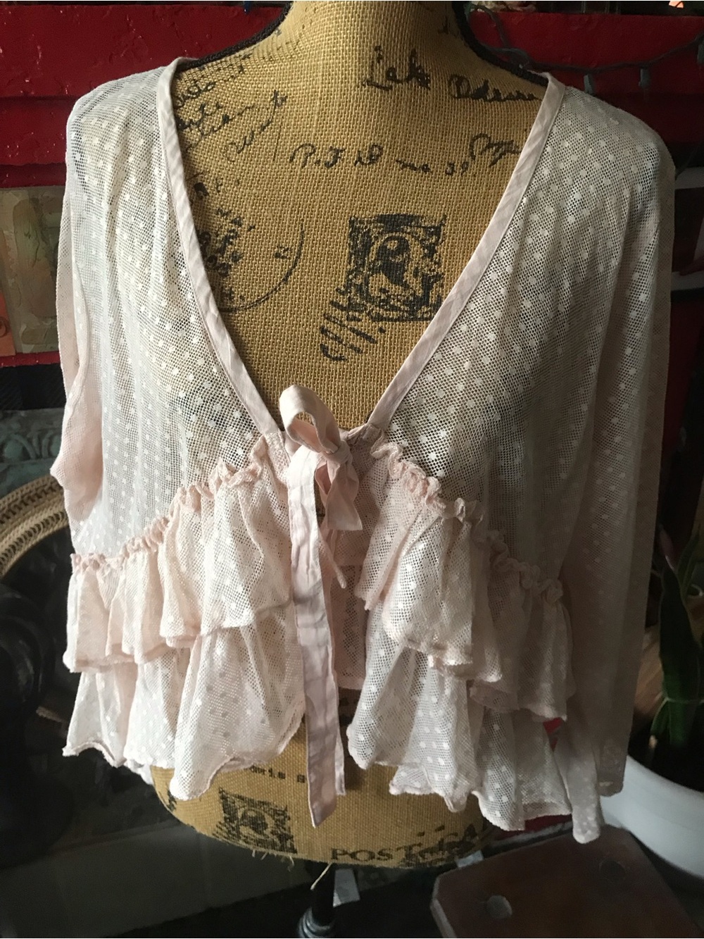 Heart’s Desire by Mary Grace Sheer Blush Pink Ruffled Tie-Front top - Picture 8 of 14
